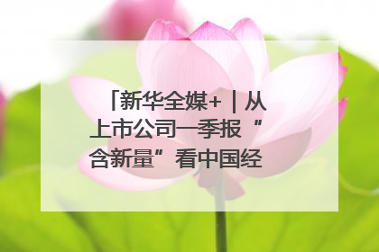 新华全媒+｜从上市公司一季报“含新量”看中国经济发展向“新”